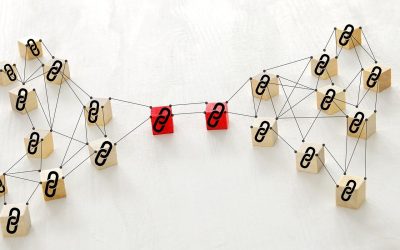 Maîtriser le Netlinking de Puissance en 2026 : Le Guide Complet des Réseaux de Blogs Privés (PBN)